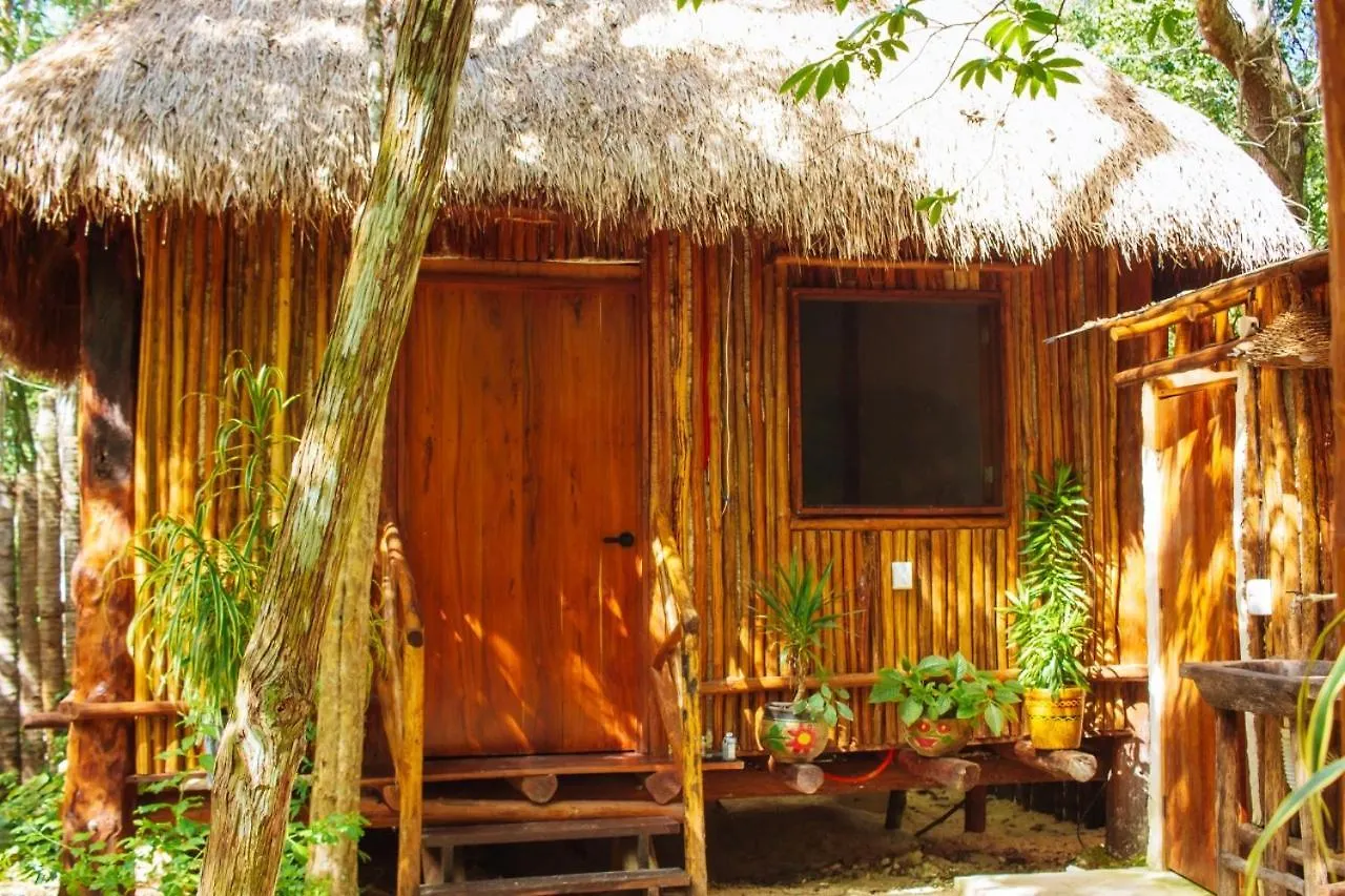 Lodge Casa Tulix Cabana Tulum Francisco Uh May