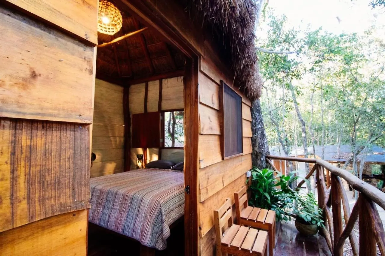 Casa Tulix Cabana Tulum Francisco Uh May Lodge