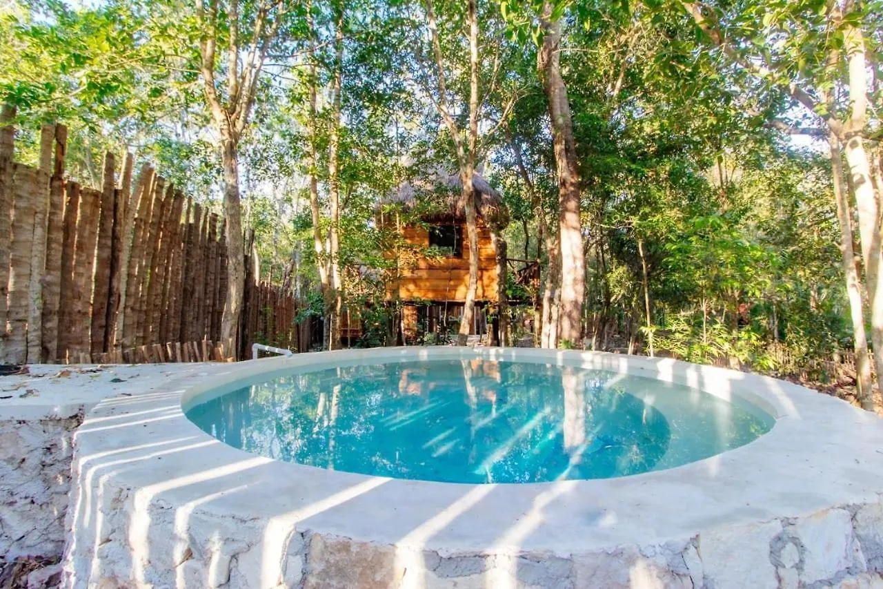 Casa Tulix Cabana Tulum Francisco Uh May Lodge
