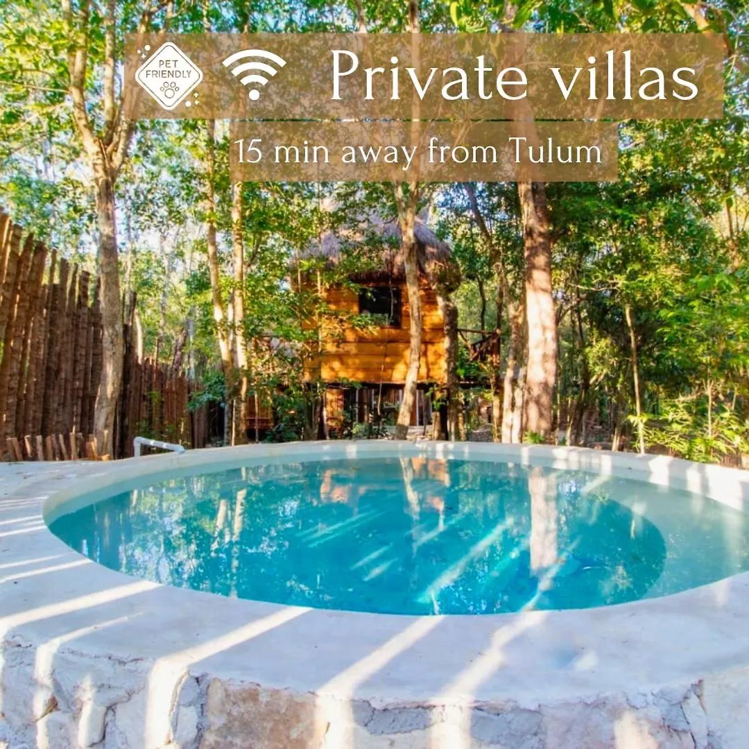 Casa Tulix Cabana Tulum Francisco Uh May